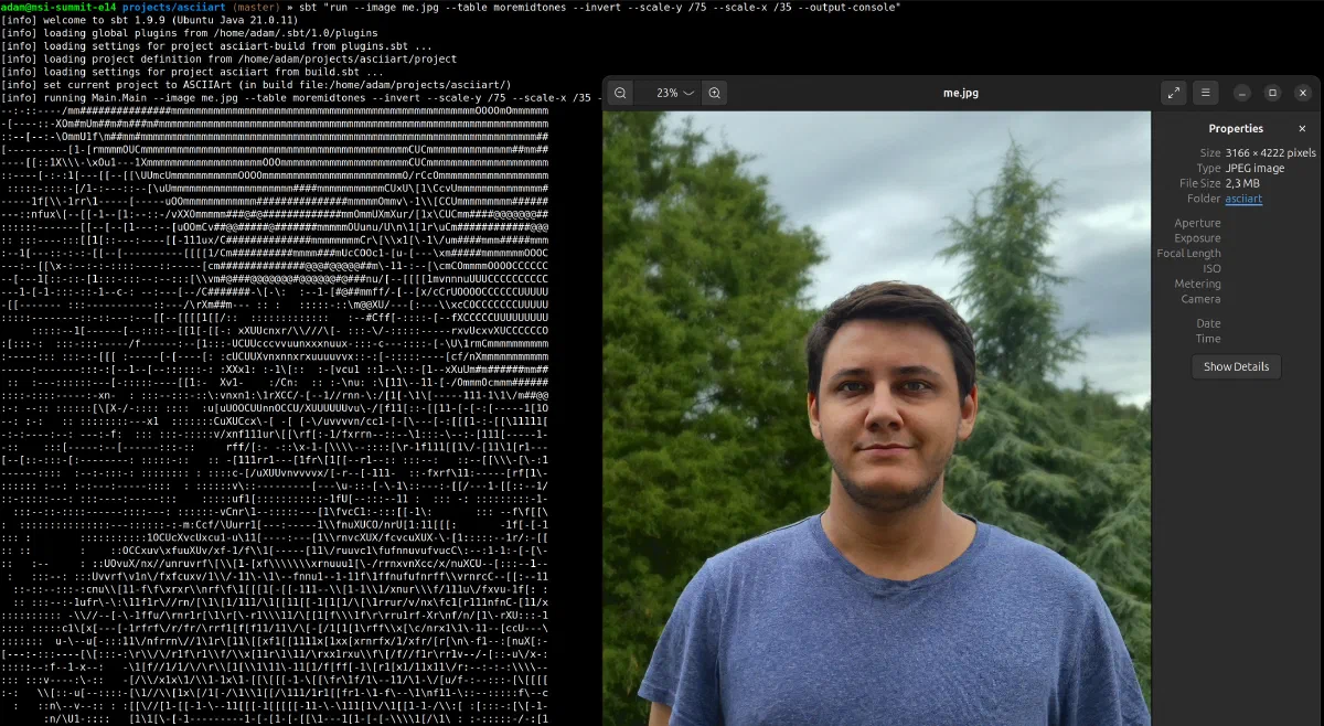 Terminál s ASCII verzí fotky vedle originálu